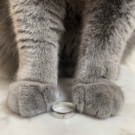 Luminous Diamond Ring From Cat Fur