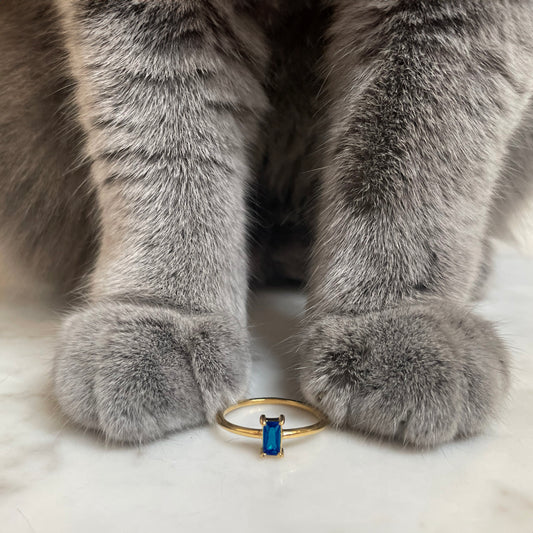 Royalty Sapphire Ring From Cat Fur