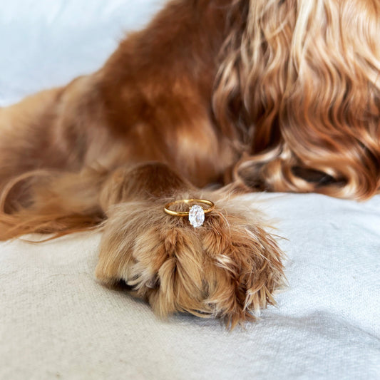 Solace Diamond Ring From Dog Fur